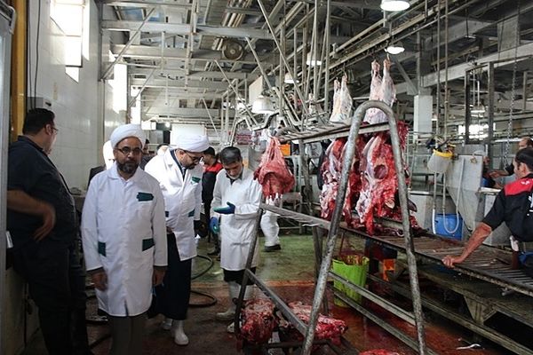 نظارت بر ذبح شرعی دام در فارس