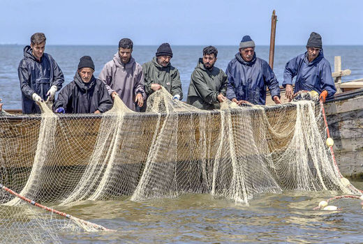 ۷۰۰ هزار تن انواع آبزیان از دریا صید شد