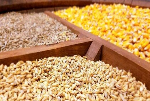 ۴۵ هزار تن نهاده کشاورزی در خراسان شمالی توزیع شد