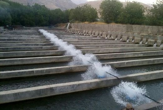 تحویل ۲۰ دستگاه اسپلش مزارع پرورش ماهی شهرستان قزوین