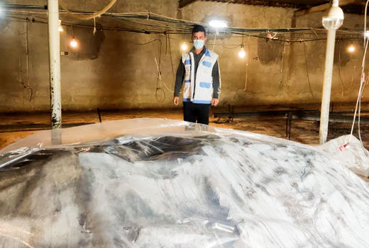 نظارت دامپزشکی دزفول بر عقیم سازی کود مرغی در مزارع پرورش طیور