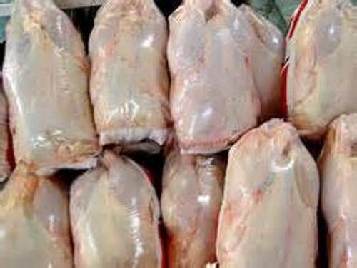  24 هزار تن مرغ مازاد مرغداران خریداری شد