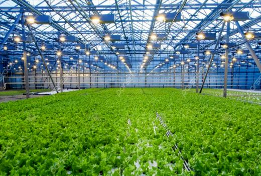 دعوت از متقاضیان سرمایه‌گذاری در شهرک گلخانه‌ای چیل آباد ارزوئیه 