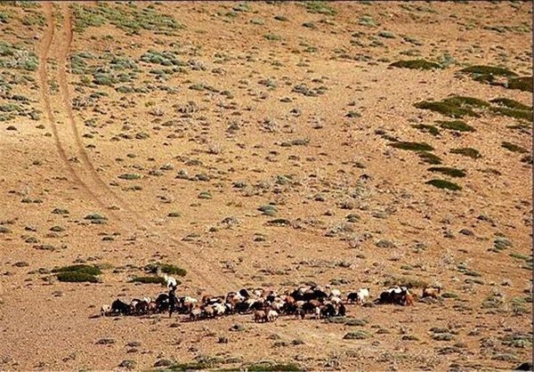 نابودی مراتع و تشدید خشکسالی