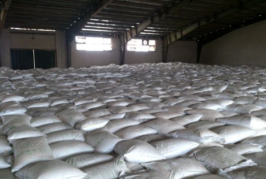 تأمین و توزیع میزان 2443 تن انواع کودهای شیمیایی در استان البرز 