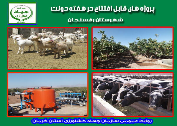 بهره‌برداری از 7 طرح زیر بنائی کشاورزی و دامپروری در شهرستان رفسنجان در هفته دولت 