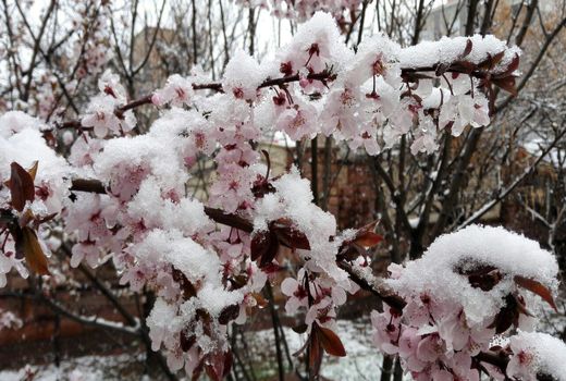 پیام‌های مهم هواشناسی کشاورزی
