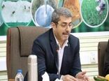 تولید برنج سالم در 100 هزار هکتار شالیزار مازندران حمایت می‌شود