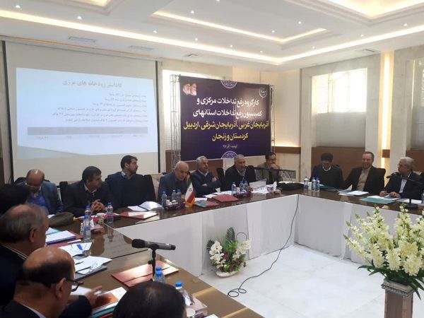 رفع تداخلات بیش از ۳۸۱ هزار هکتار از اراضی کشاورزی کشور