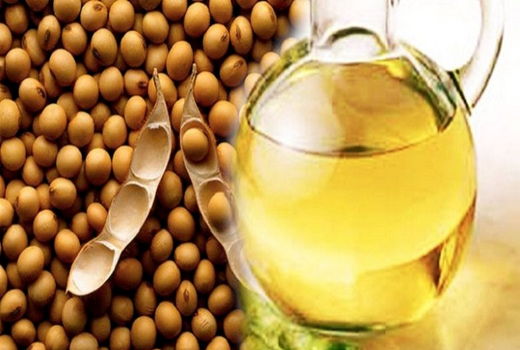  پرداخت کامل مطالبات سویا کاران 