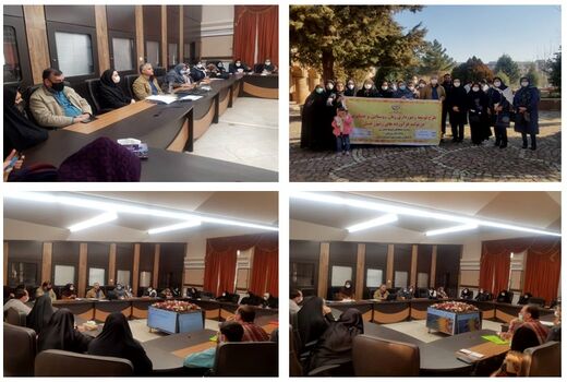 ۳۰ زن روستایی در قزوین با پرورش زنبور عسل آشنا شدند