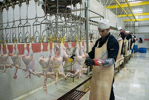 گوشت مرغ هر کیلو ده هزار و 200تومان شد