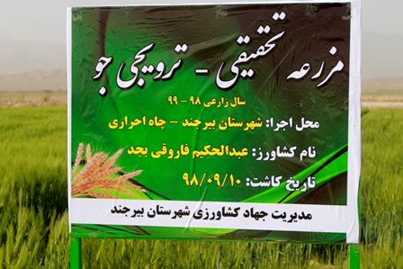 ایجاد مزارع تحقیقی در دشت بجد شهرستان بیرجند