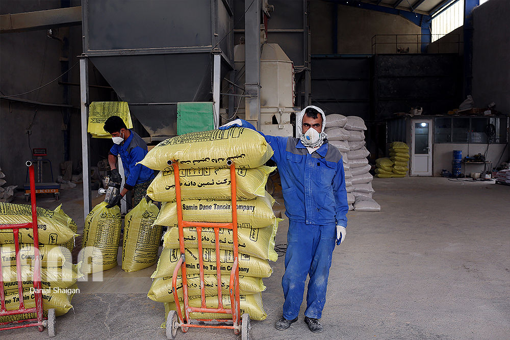 کارخانه تولید خوراک دام و طیور
