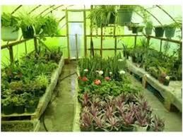 صدور الکترونیک 100 مجوز گلخانه در ساری