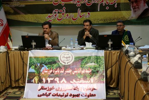 تولید ٦٨ درصد شکر کشور در افق ١٤١٠ در استان خوزستان