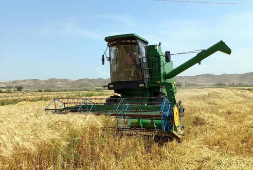 آغاز برداشت جو از شهرستان خداآفرین