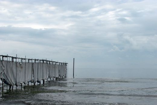 4 شناگاه به دلایل غیربهداشتی پلمپ شدند