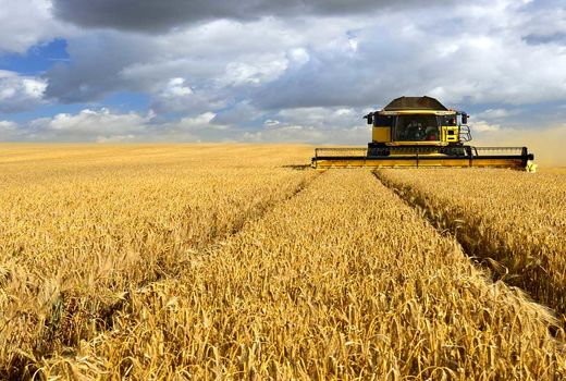 حفظ سرمایه کشاورز با نظارت و کنترل کیفی ماشین‌های برداشت