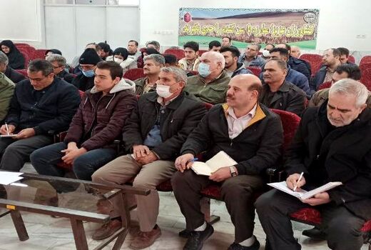 برگزاری دوره آموزشی پرورش ملکه زنبور عسل در میانه 