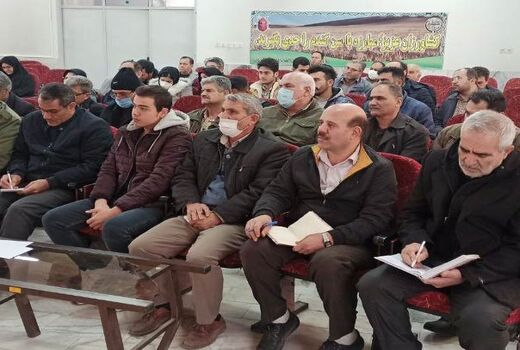 برگزاری دوره آموزشی پرورش ملکه زنبور عسل در میانه 