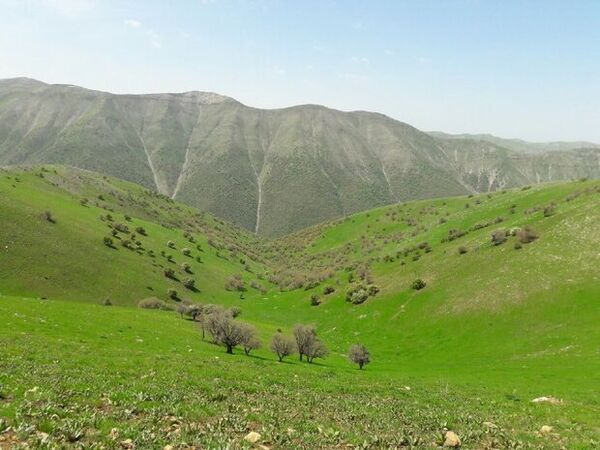 مراتع با اجرای برنامه هفتم توسعه نفسی تازه می‌کشند