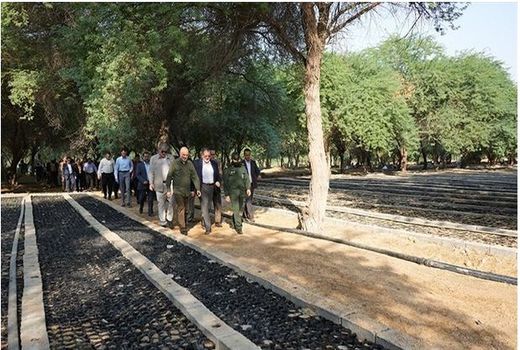 باغ‌موزه کاشت نهال در استان بوشهر راه‌اندازی می‌شود