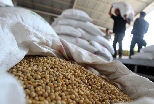 کشف خوراک دام قاچاق در شهرستان خانمیرزا