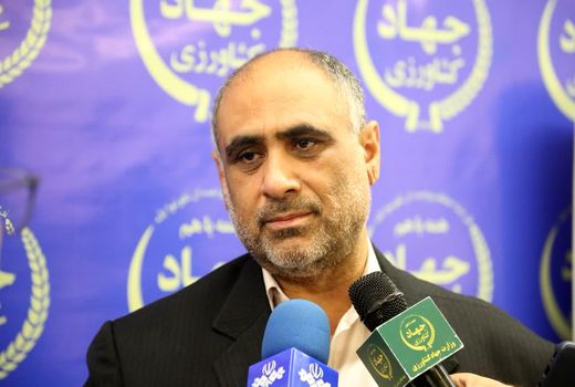 همه مطالبات گندم‌کاران پرداخت شد