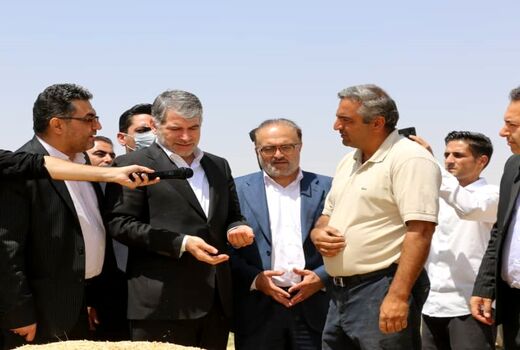 خداقوت وزیر جهاد کشاورزی به گندم کاران در بازدید از مزارع گندم بیجار