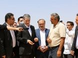 خداقوت وزیر جهاد کشاورزی به گندم کاران در بازدید از مزارع گندم بیجار