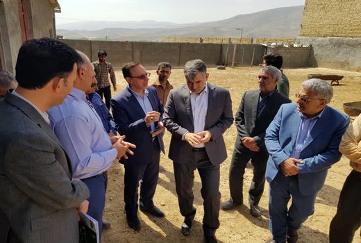 بازدید  وزیر جهاد کشاورزی از دامداری پرورش گوسفند پرواری و داشتی منطقه قارلق شهر حصار گرمخان