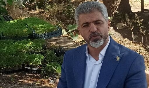 بذرهای سبزی و صیفی پیش از ورود به مزارع از فیلتر ارزیابی دوساله عبور می‌کنند