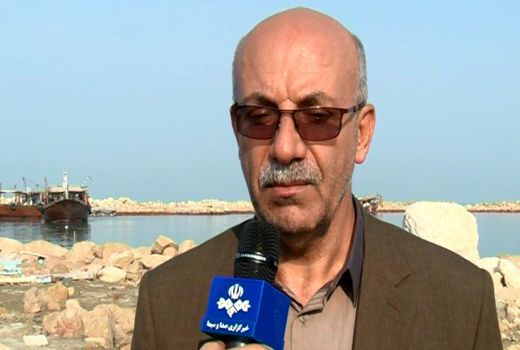 افزایش ۵۰۰ هزار تنی تولید آبزیان در حوزه خلیج فارس 