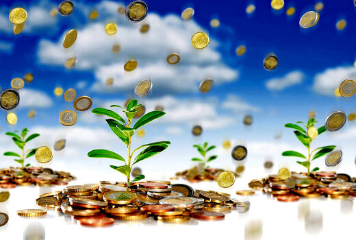 توسعه همکاری میان صندوق بیمه کشاورزی و سازمان مدیریت بحران کشور