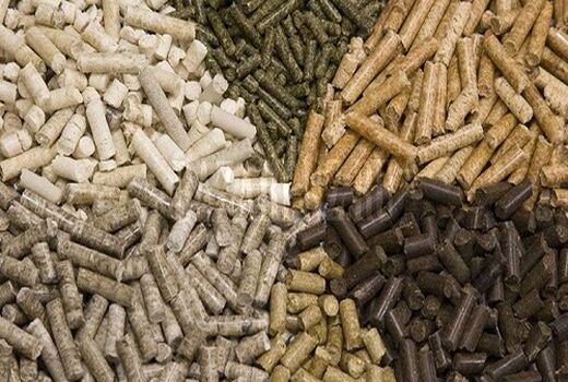 اعطای 40 میلیارد ریال تسهیلات دامدار کارت در شیراز  