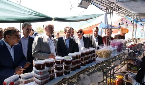 تجلی توانمندی‌های کشاورزی در «برکت سرخ» نظرلو با حضور رئیس سازمان امور اراضی کشور