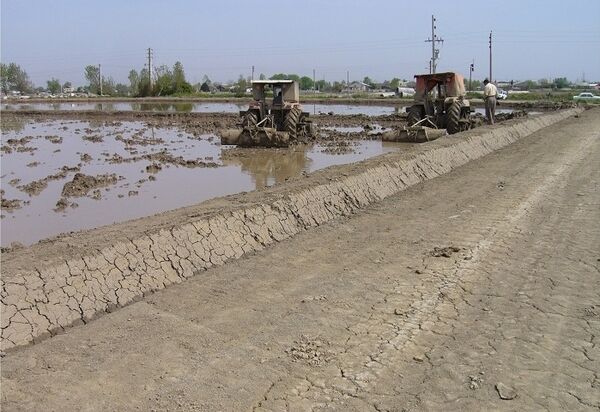 تجهیز و نوسازی 37 هزار هکتار از اراضی شالیزاری استان‌های شمالی کشور