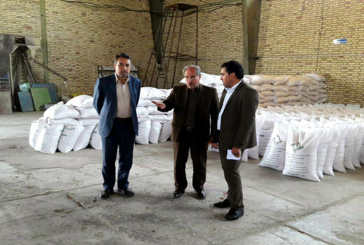 شهرستان هشترود، قطب تولید بذور اصلاح شده گندم دیم در آذربایجان شرقی است
