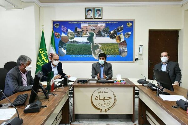 در سال گذشته  11239 هکتار از اراضی کشاورزی استان آذربایجان شرقی رفع تداخل شد