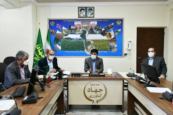 در سال گذشته  11239 هکتار از اراضی کشاورزی استان آذربایجان شرقی رفع تداخل شد