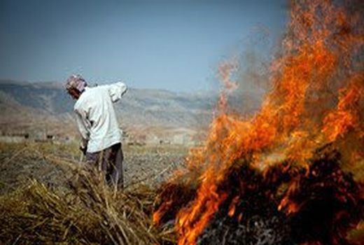 آتش‌زدن بقایای گیاهی بافت خاک را تخریب می‌کند