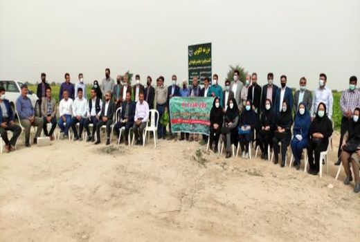 روز مزرعه کشت و توسعه چغندر علوفه ای پاییزه برگزار گردید