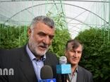 بازدید و بهره برداری پروژه های بخش کشاورزی در سفر وزیر جهاد کشاورزی به استان فارس