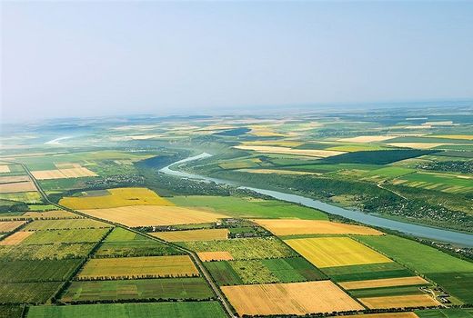 یکپارچه‌سازی بیش از۸۵ هزار هکتار از شالیزارهای گیلان