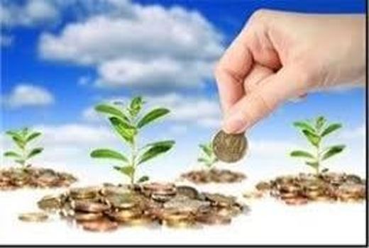 چتر بیمه بر 2 هزار هکتار از شالیزارهای میاندورود