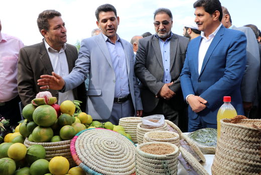 تولید سالانه بیش از 760 هزار تن محصولات کشاورزی در قیروکارزین