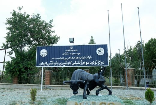 تولید داخلی اسپرم دامی، وابستگی ایران به واردات را ۸۰ درصد کاهش داد / مرکز ملی ژنتیک دامی؛ قلب تپنده اصلاح نژاد در ایران