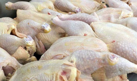 هیچگونه مرغی تحت عنوان مرغ تعاونی، دولتی و آزاد وجود ندارد