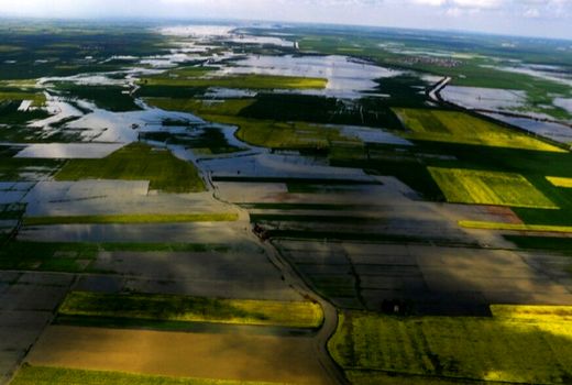 ارتقاء امنیت غذایی با افزایش تنوع ژنتیکی در محصولات زراعی